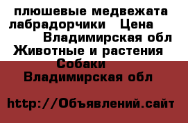 плюшевые медвежата лабрадорчики › Цена ­ 25 000 - Владимирская обл. Животные и растения » Собаки   . Владимирская обл.